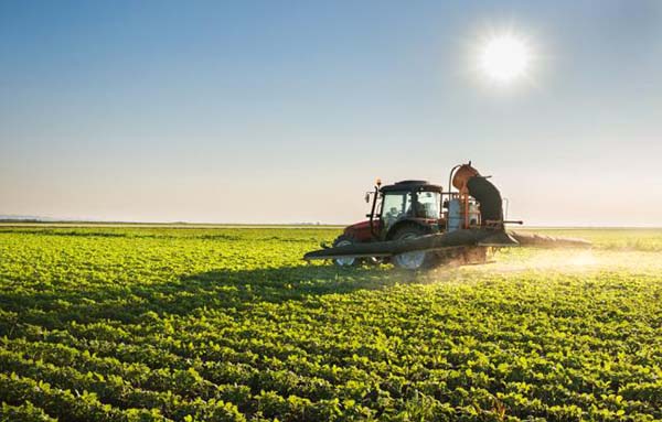 Agronegócio freia impacto nos pequenos negócios do Oeste de Santa Catarina