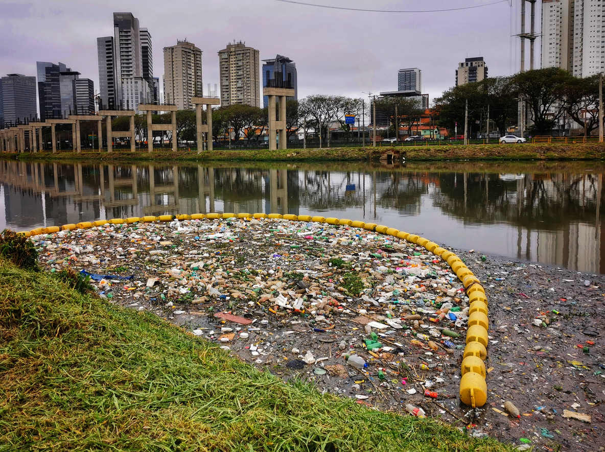 Brasileiros se avaliam como pouco comprometidos com o meio ambiente em 2024