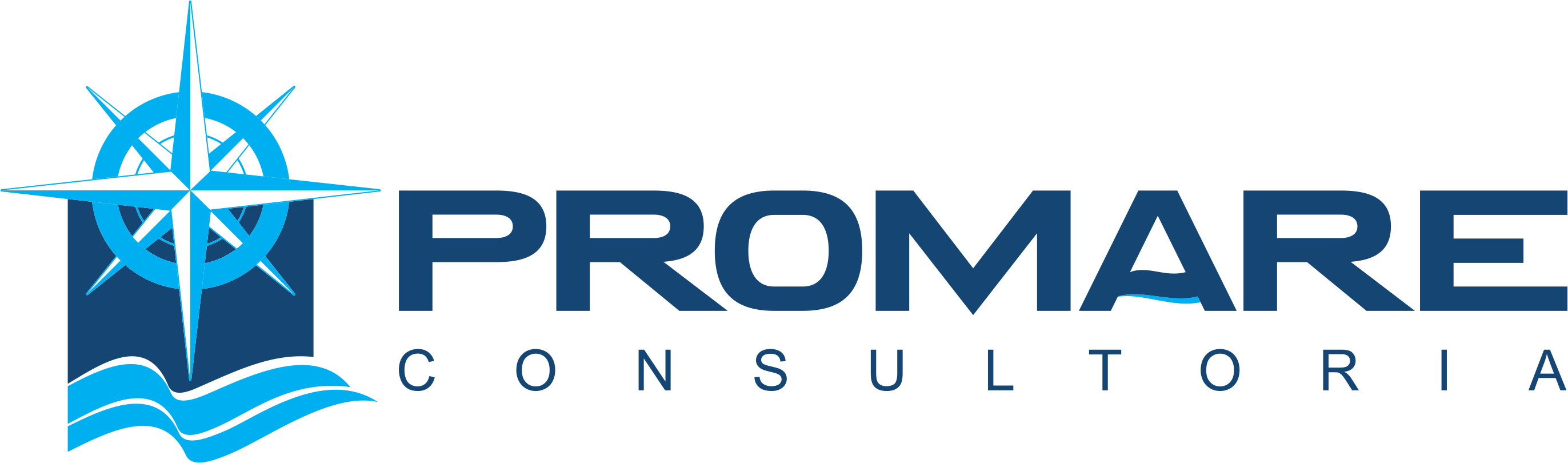 PROMARE CONSULTORIA LOGOTIPO